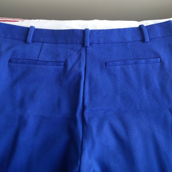 Lord & Taylor Blue Pant 12 - Picture 5 of 11